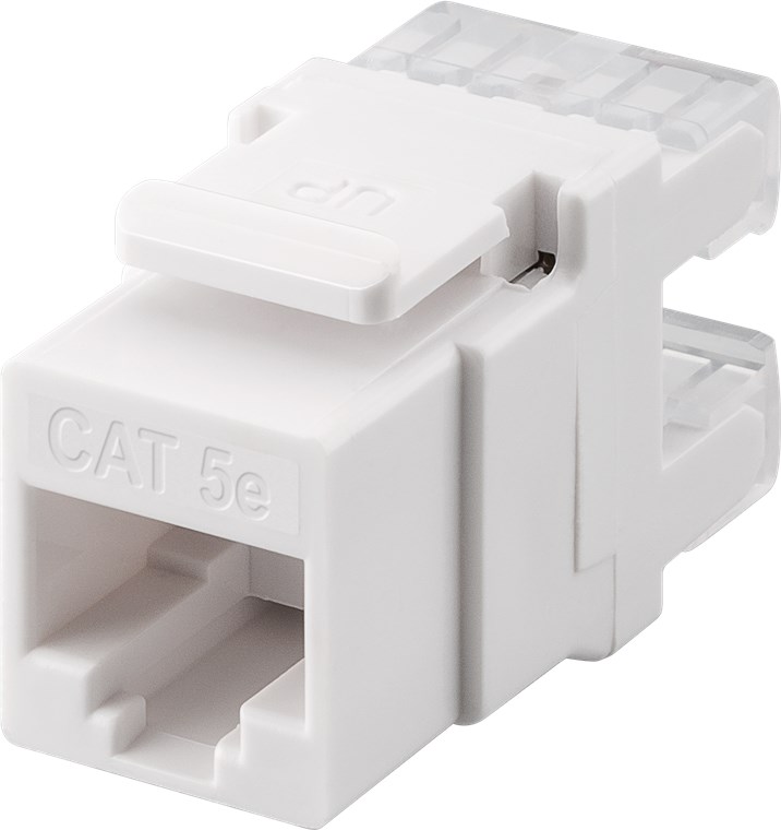 Conector RJ45 Cat.6 UTP hembra panel