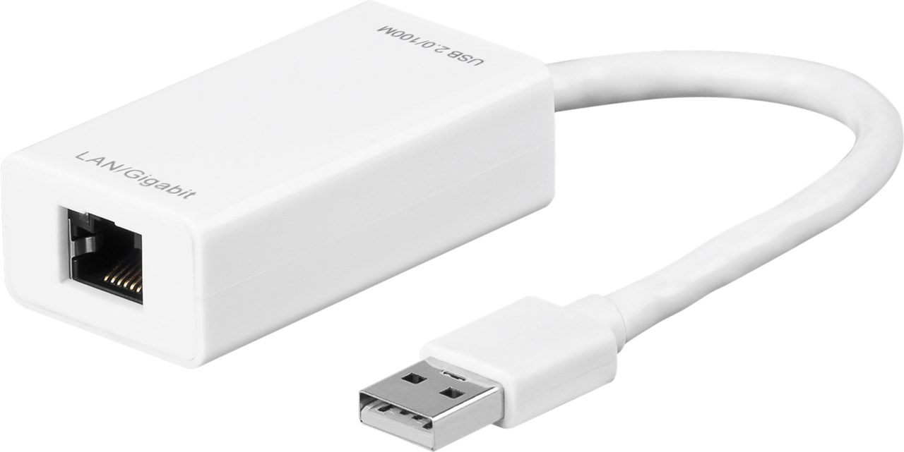 Odysseus lettelse Grine USB 2.0 Fast Ethernet Network Converter, White | Wentronic