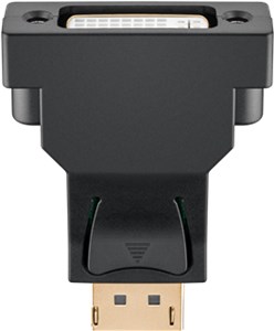 DisplayPort™ to DVI-I Adapter 1.1 DisplayPort™ to DVI-I Adapter 1.1