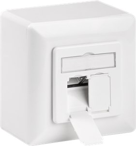 CAT 6 Universal Wall Plate Incl. On-Wall Mounting Frame