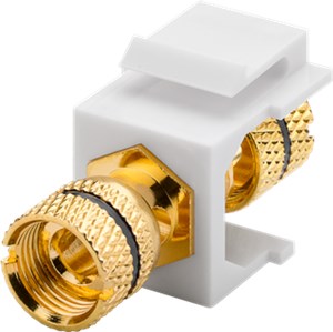 Module Keystone Haut-Parleur