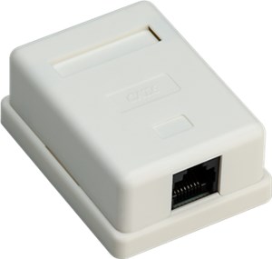 Presa di collegamento rete RJ45 a 1 porta, CAT 6, UTP, bianco