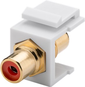 Module Keystone Cinch/RCA