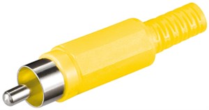 Spina RCA